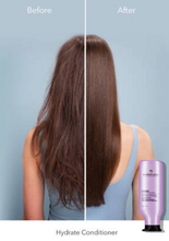 Load image into Gallery viewer, PUREOLOGY Hydrate Conditioner
